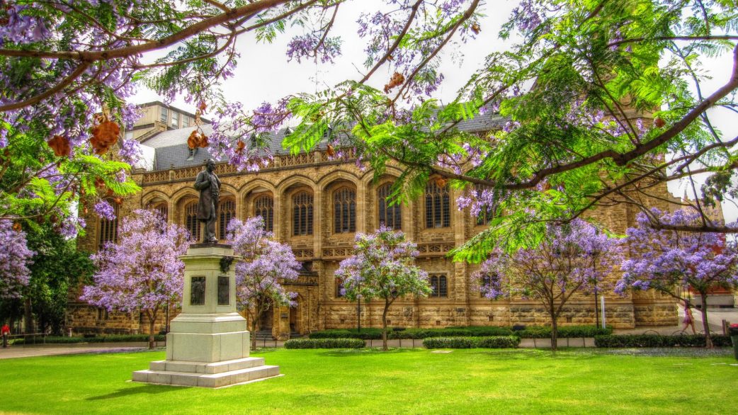 adelaide-university-bonython-in-spring-2