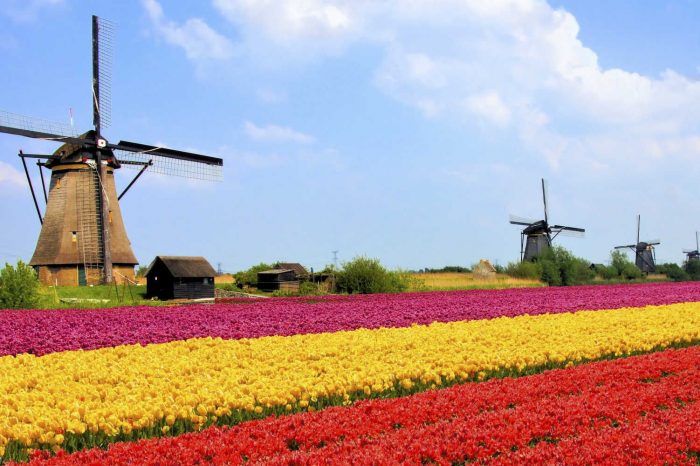 Holanda: Becas Para Maestría en Diversos Temas University of Twente