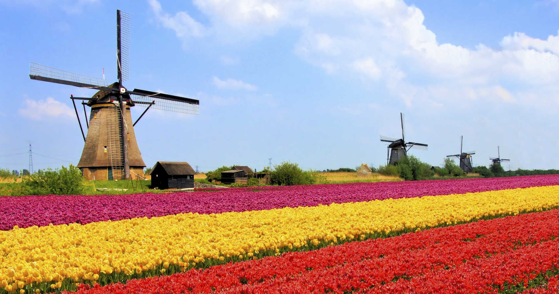 Holanda: Becas Para Cursos Cortos en Diversos Temas Leiden University