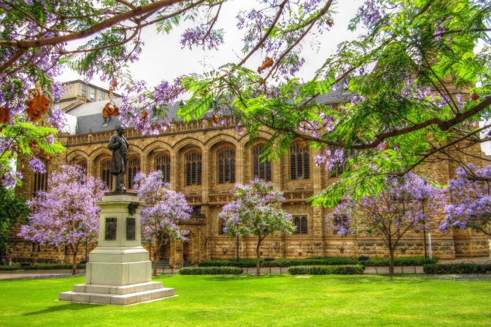 Australia: Becas Para Pregrado en Diversos Temas University of Adelaide