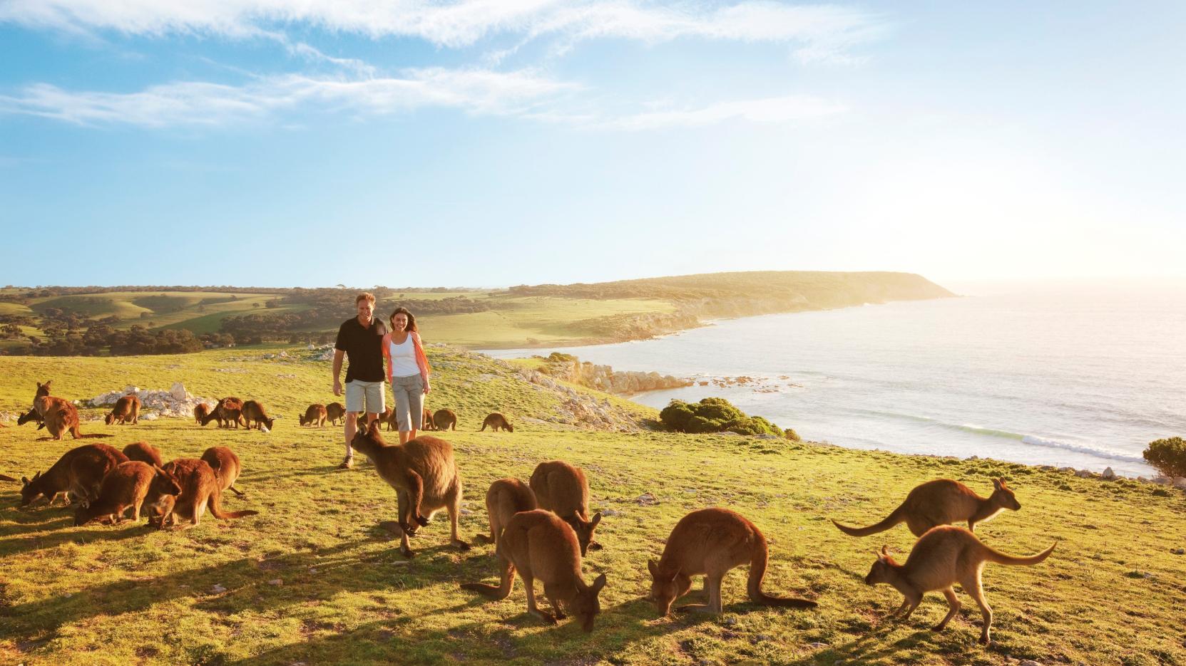 Australia: Becas Para Pregrado y Posgrado en Diversos Temas Macquarie University